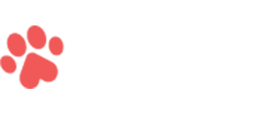 Pettitodallas Careers